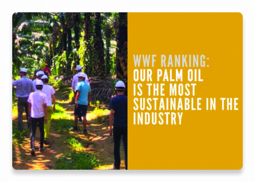 palm oil wwf scorecard Ferrero