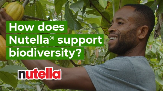 Cocoa and Agroforestry practices