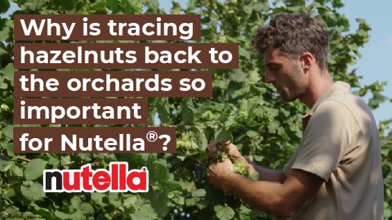 Hazelnuts & Responsible practices