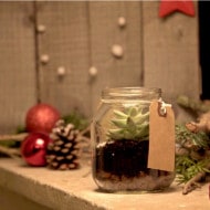 Nutellarium_visual