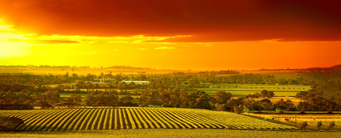 Take a delicious journey in the Barossa Valley, SA