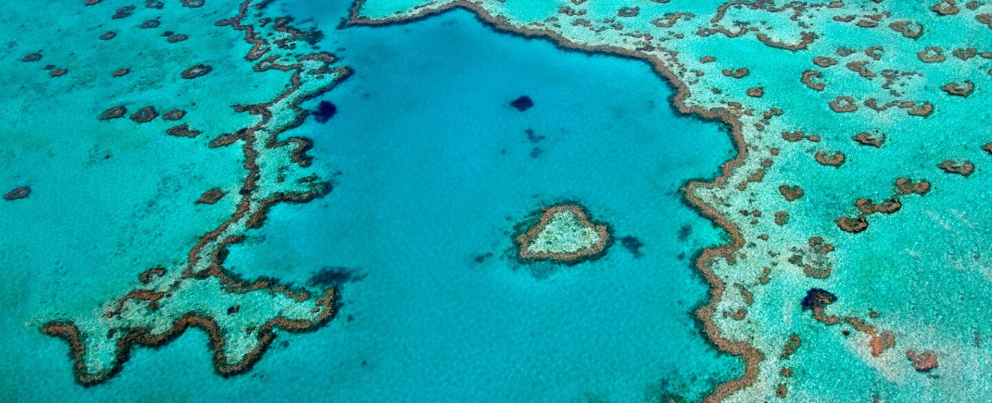 Take a delicious journey to the Great Barrier Reef, QLD