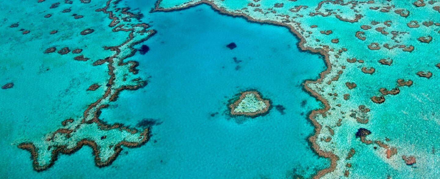 Take a delicious journey to the Great Barrier Reef, QLD