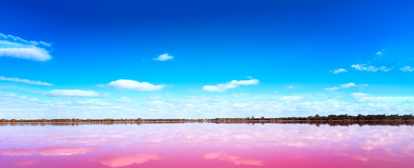 Salted Coconut French Toast