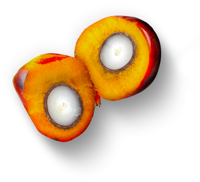 Did you know - Palm OIL
