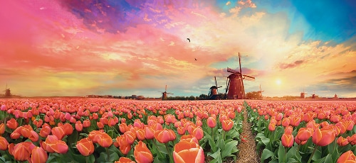 Bonjour de Zaanse Schans