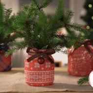 Nutella_Mini Kerstboom pot | Nutella 