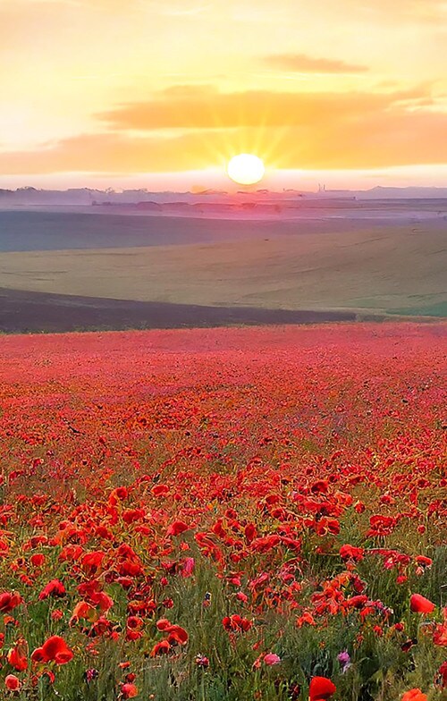 Nutella® добро утро