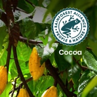 cocoa