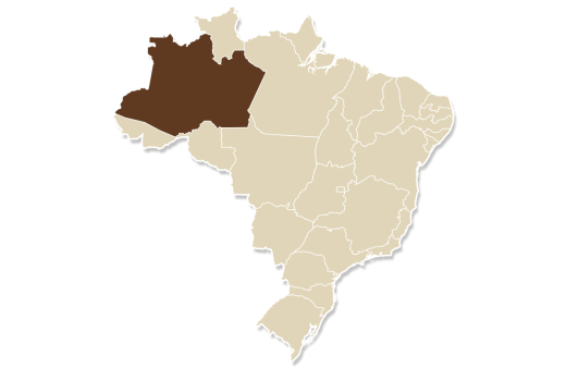 Café da manhã em Manaus, AM