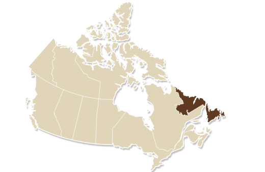 map_newfoundland_labrador
