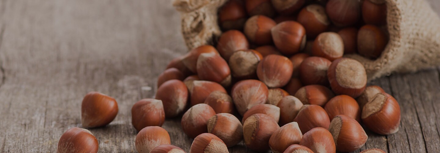 Hazelnuts Ingredient | Nutella Hazelnutsground | Nutella