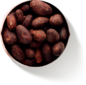 Cocoa