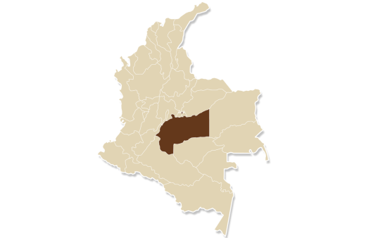 llanos