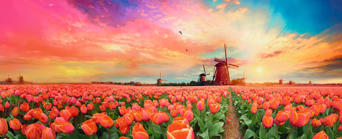 Netherlands-detail