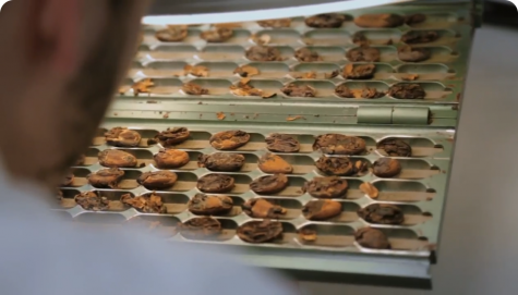 Krok 1: Sušení a loupání kakaových bobů | Nutella