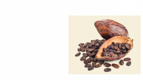 Sušené kakaové boby | Nutella