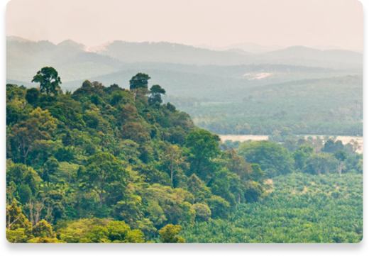 Pojďme si promluvit o udržitelnosti | Nutella