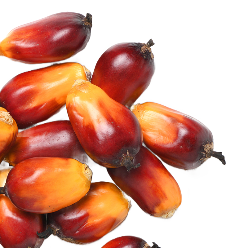 Palmöl