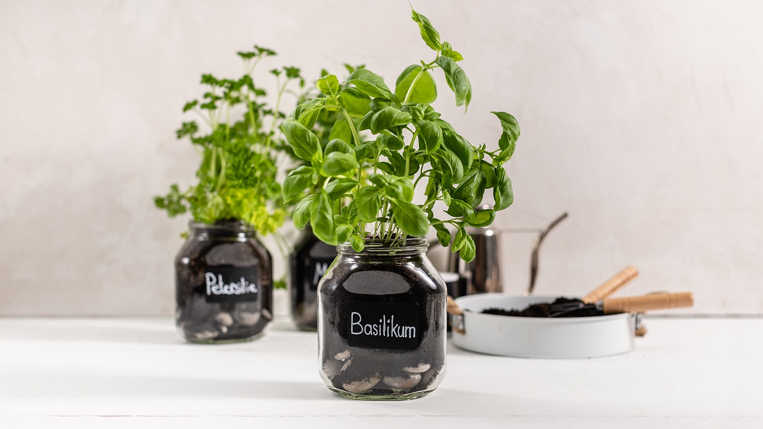 Kräutergarten im nutella® Glas