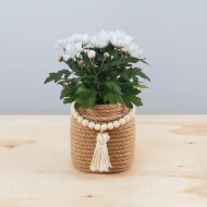 DIY - nutella® - Blumentopf - Blumen - Jute - Bast - Pflanzen