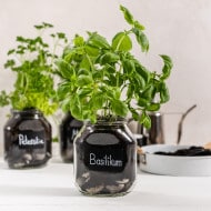 Kräutergarten im nutella® Glas