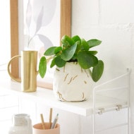 nutella®-Glas - Vase im Kintsugi Look