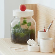 DIY - nutella - Gewächshaus im Glas