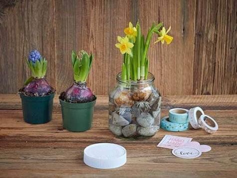 Frühling im Glas - Schritt 4