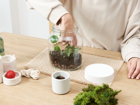 DIY - nutella - Gewächshaus im Glas - Schritt 2