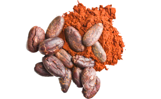 Kartenmotiv mit Kakaobohnen und Schriftzug 'Cacao', illustrative Zutaten-Grafik.