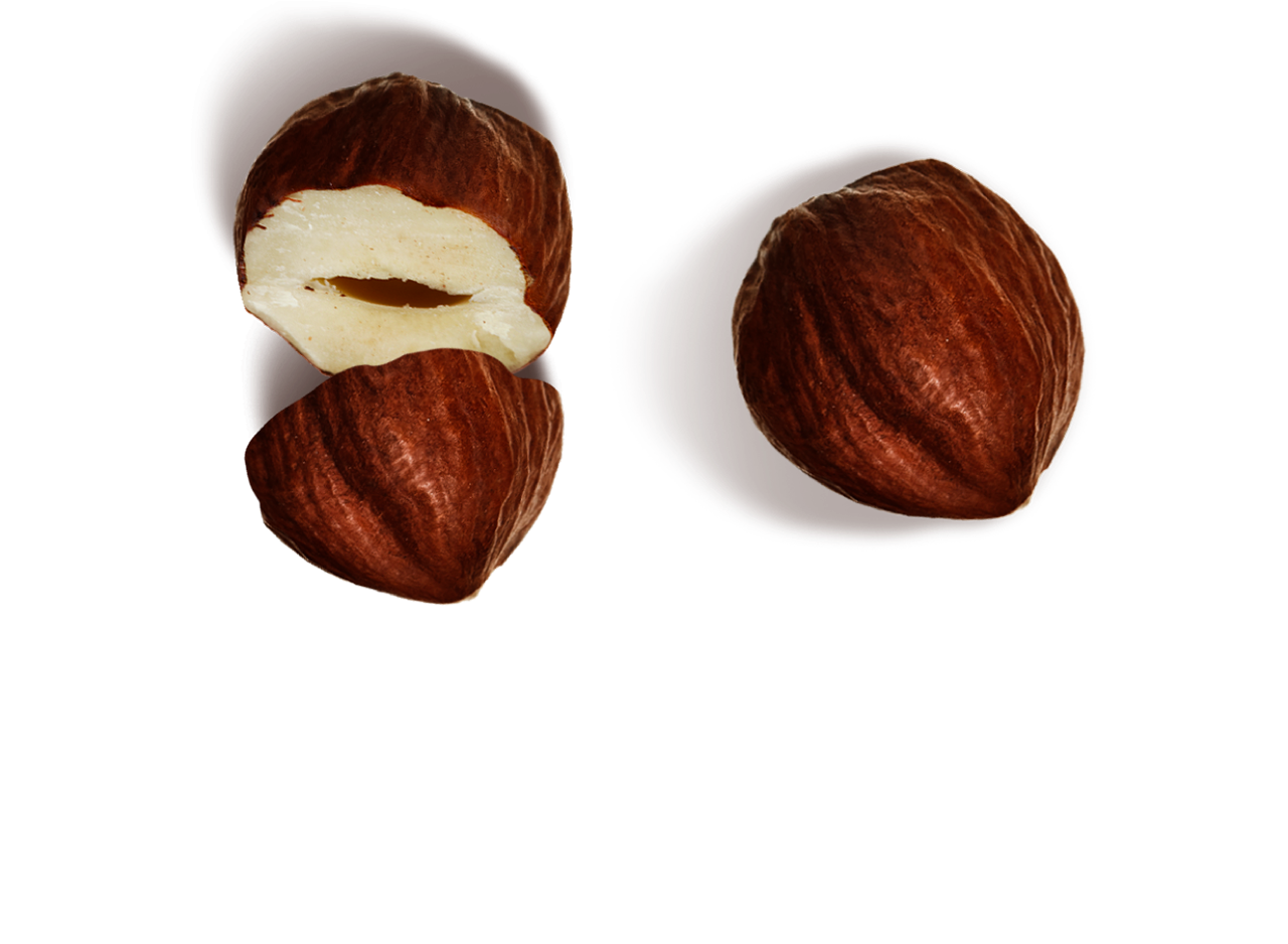 Our Hazelnuts | Nutella