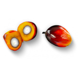 04_thumbnail_bubble_story_PlantBased