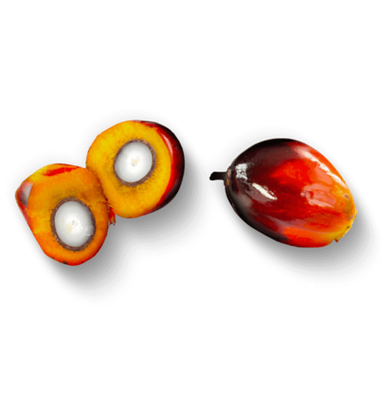 04_bubble_story_PlantBased