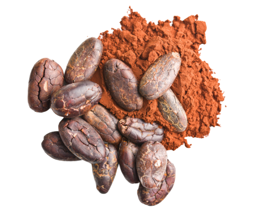 The Cocoa Powder Quality | Nutella