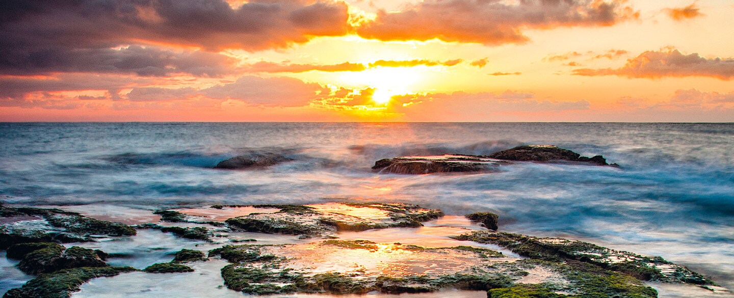 Buenos días desde Alicante