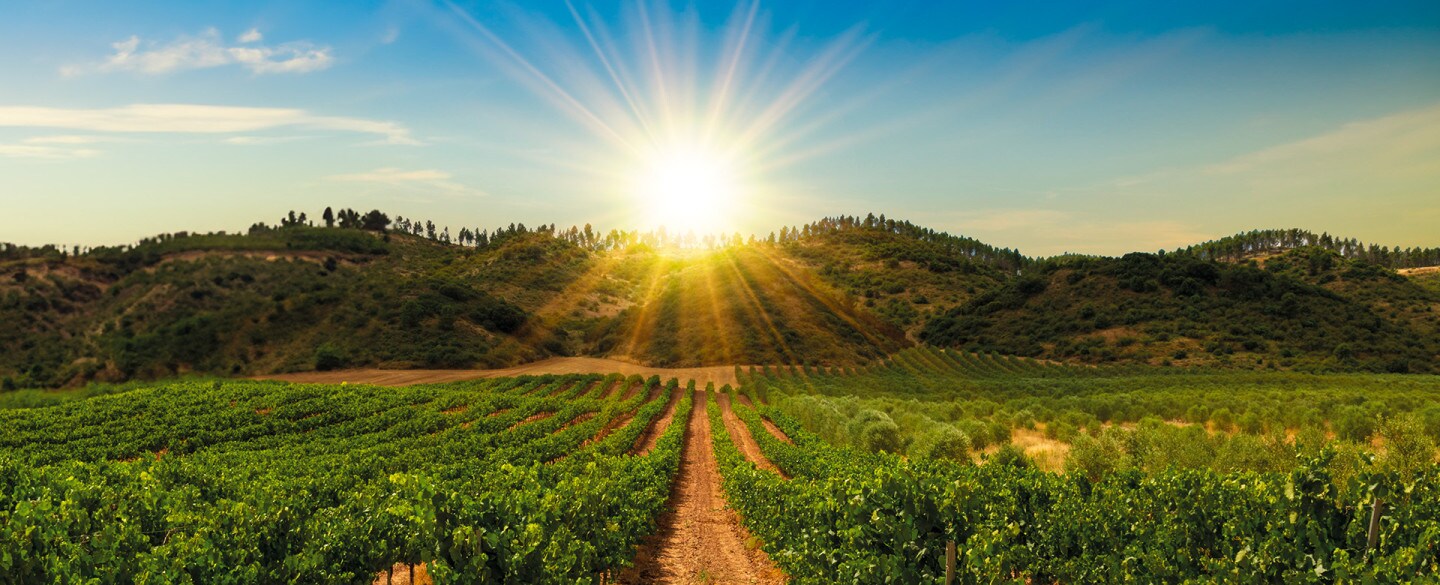 Buenos días desde Navarra