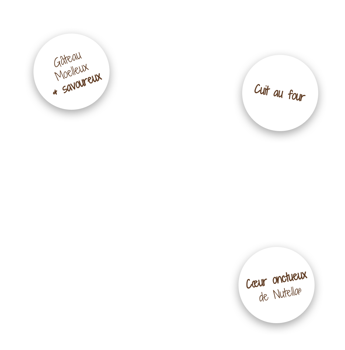 Icône FR indiquant la version française du site.