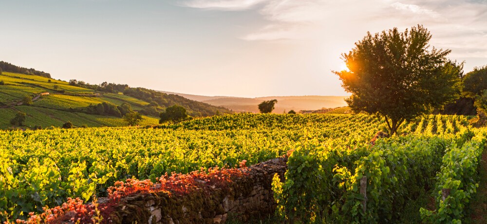 Bourgogne-Franche-Comte map