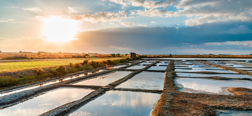 Pays de la Loire map