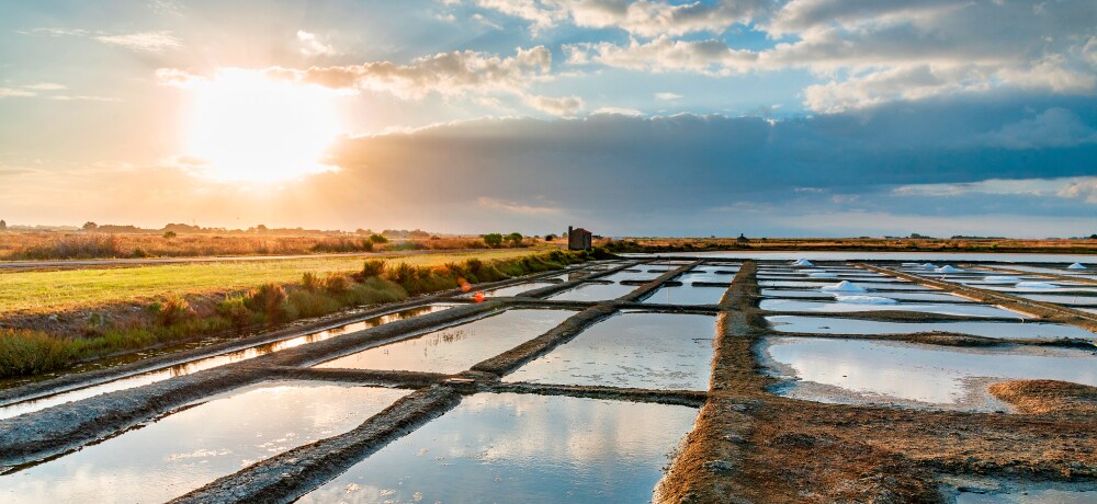 Pays de la Loire map