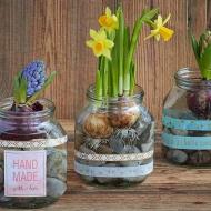 Décoration d'un pot en jardiniere de printemps avec bulbe fleurs| Nutella