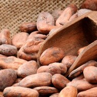 Ingrédients avec fèves de cacao | Nutella