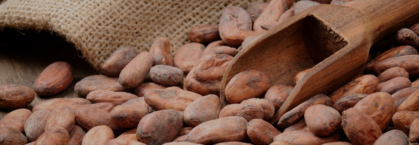 Fèves de cacao Arrière-plan | Nutella