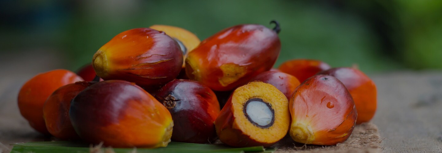 Fruits de palmier à huile Arrière-plan | Nutella