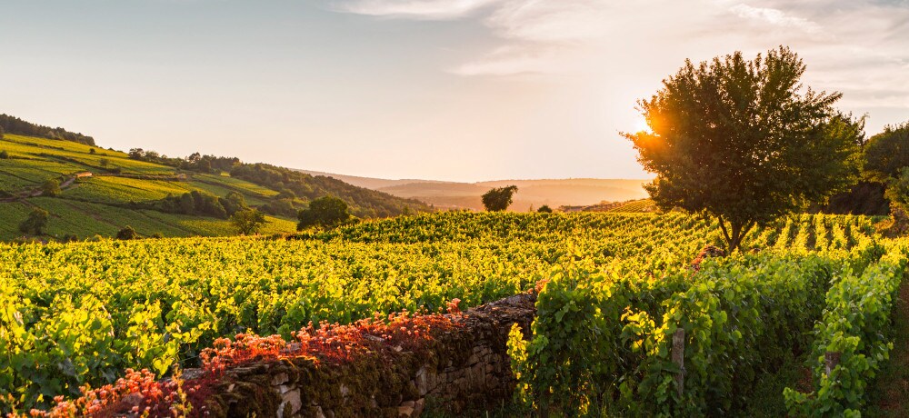 Bourgogne-Franche-Comte detail