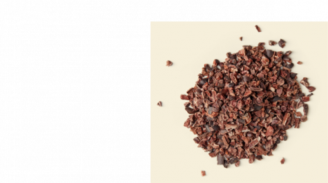 Fèves de cacao broyées | Nutella