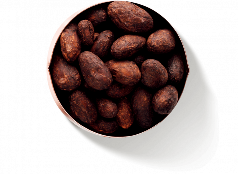 Bol de fèves de cacao | Nutella