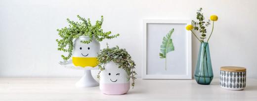 Décoration du pot avec smiley souriant plante | Nutella