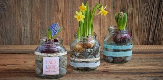 Décoration d'un pot en jardiniere de printemps avec bulbe fleurs| Nutella